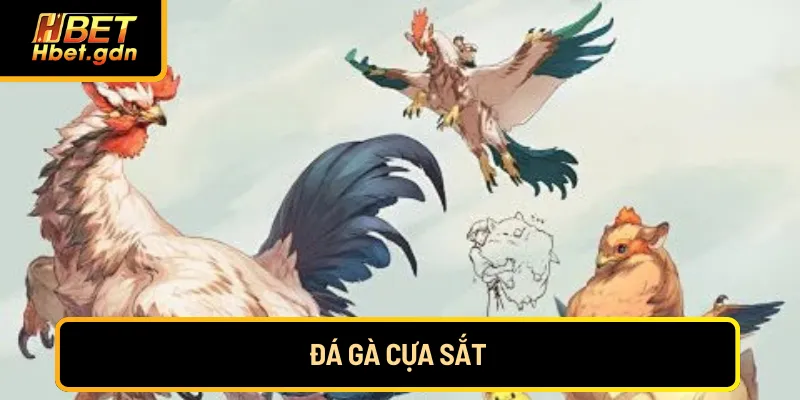 da-ga-cua-sat
