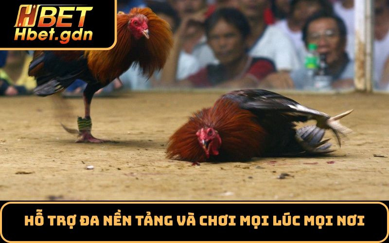 Hỗ trợ đa nền tảng và chơi mọi lúc mọi nơi