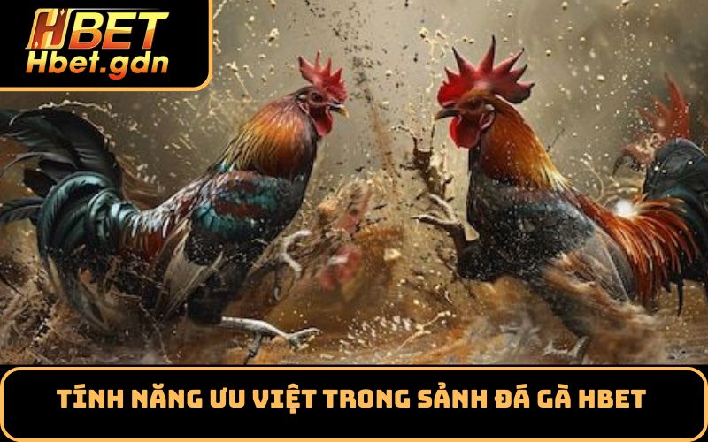 Tính năng ưu việt trong sảnh đá gà Hbet 