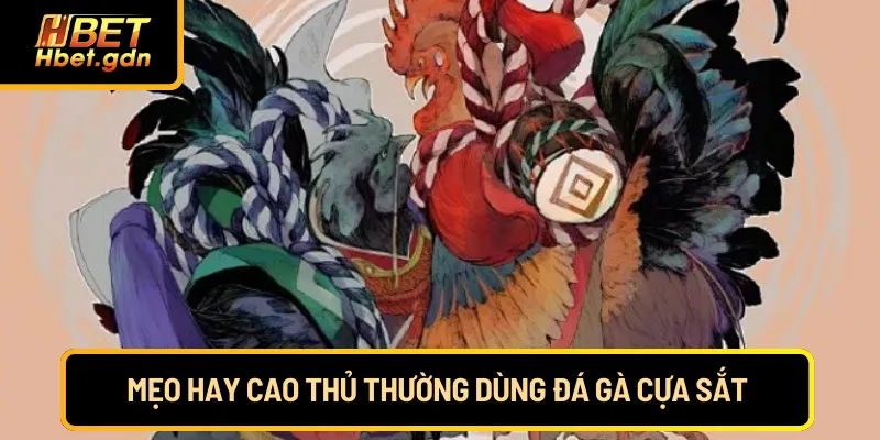 Mẹo hay cao thủ thường dùng đá gà cựa sắt
